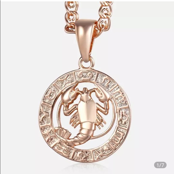❤️THIS BEAUTIFUL❤️ROSE GOLD❤️CANCER SIGN ZODIAC NECKLACE IS TRULY UNIQUE❤️ - Picture 2 of 7